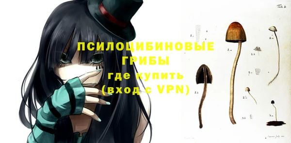 ПСИЛОЦИБИНОВЫЕ ГРИБЫ Абинск